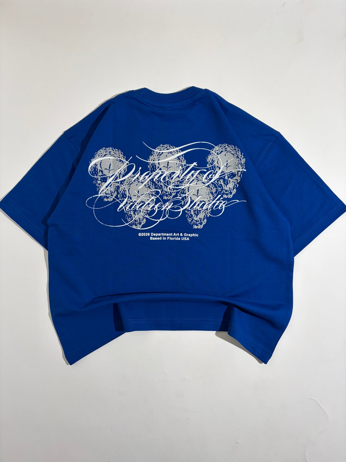 Blue crop boxy tee