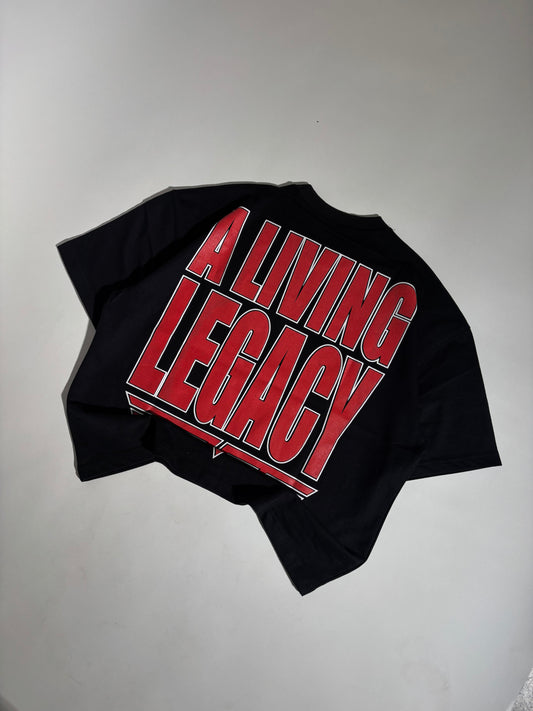 Legacy boxy oversized tee