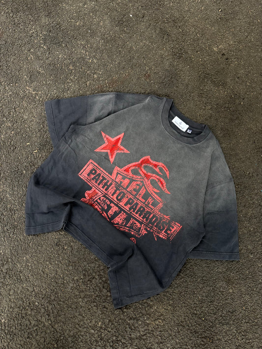 Paradise grey faded oversized Tee
